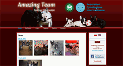 Desktop Screenshot of amazingteam.pl
