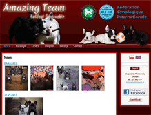 Tablet Screenshot of amazingteam.pl